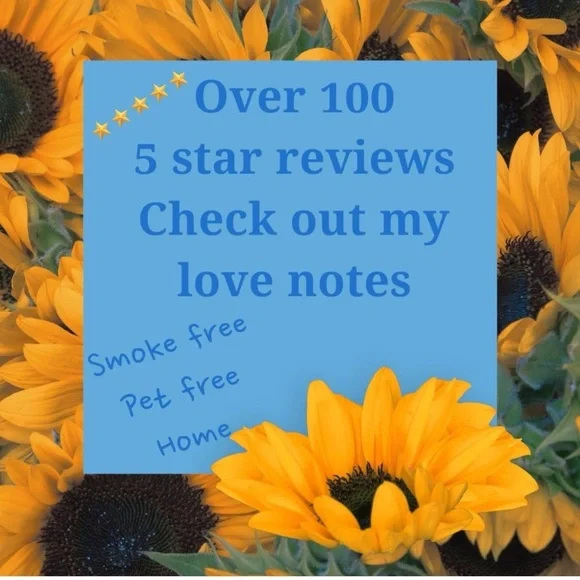 Fantastic Fawn patriotic sequin sunnies graphic tee oversized L - Picture 11 of 11